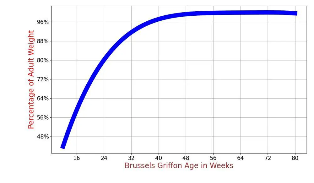 How Much Should Brussels Griffon Weigh? Brussels Griffon Weight Calculator.