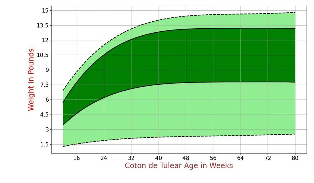 How Much Should Coton de Tulear Weigh? Coton de Tulear Weight Calculator.