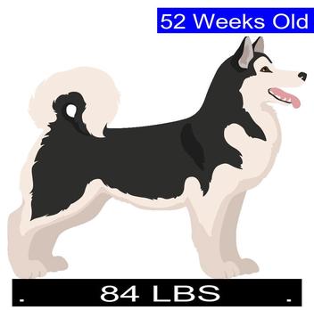 how much does a full grown alaskan malamute weight