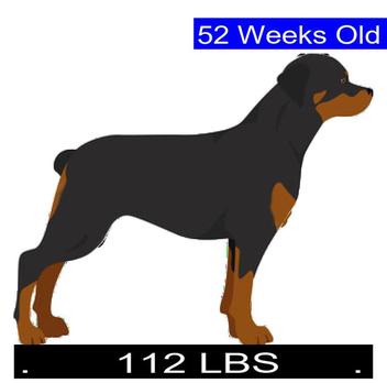 how much should a 9 week old rottweiler weigh