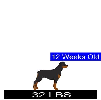 how much should a 9 week old rottweiler weigh