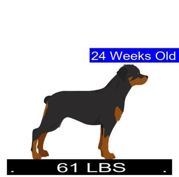 How Much Should Rottweiler Weigh? Rottweiler Weight Calculator.