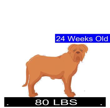 how much does a dogue de bordeaux weigh