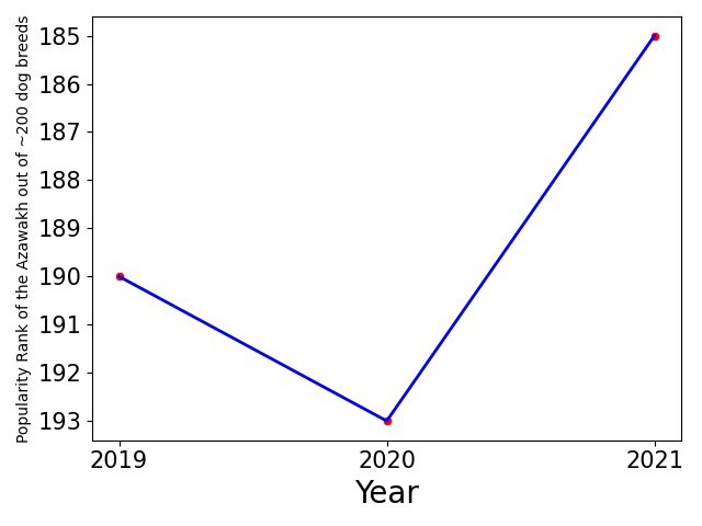 Popularity of Azawakh