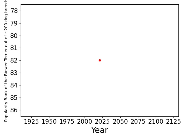 Popularity of Biewer Terrier