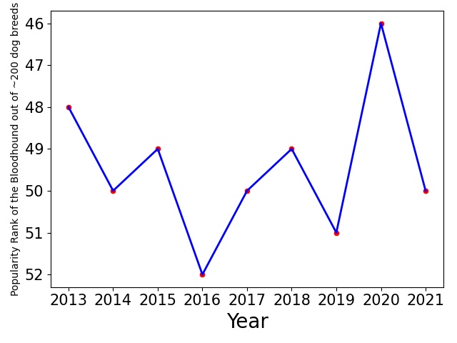 Popularity of Bloodhound