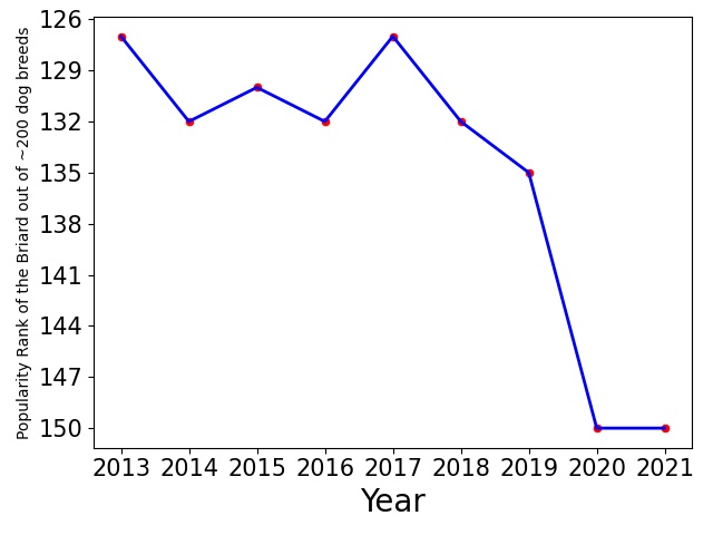 Popularity of Briard