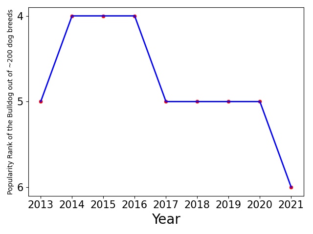 Popularity of Bulldog