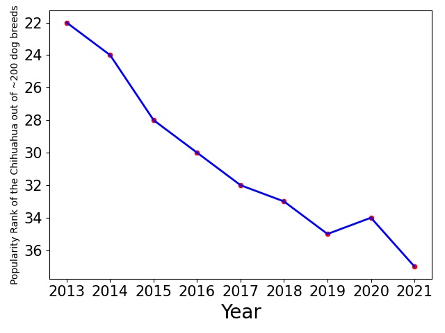Popularity of Chihuahua