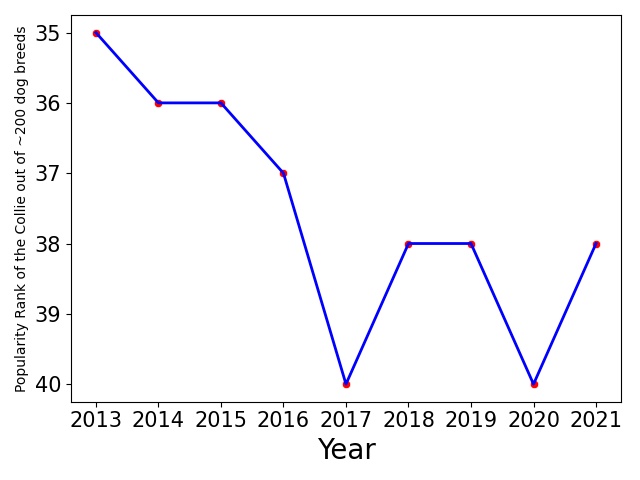 Popularity of Collie