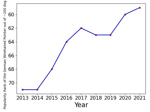 Popularity of German Wirehaired Pointer