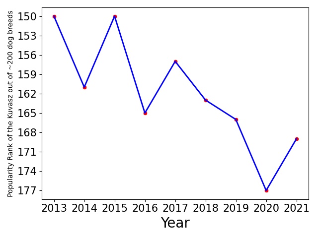Popularity of Kuvasz