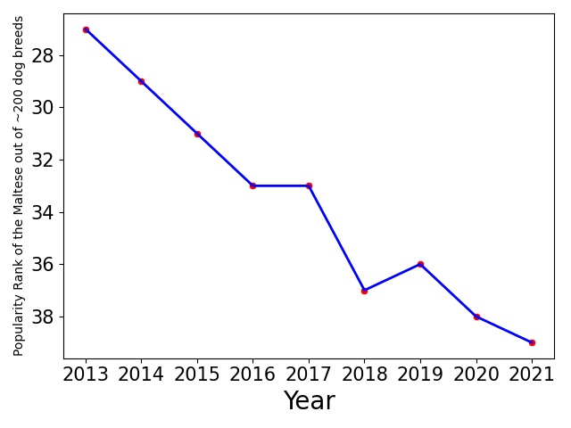 Popularity of Maltese