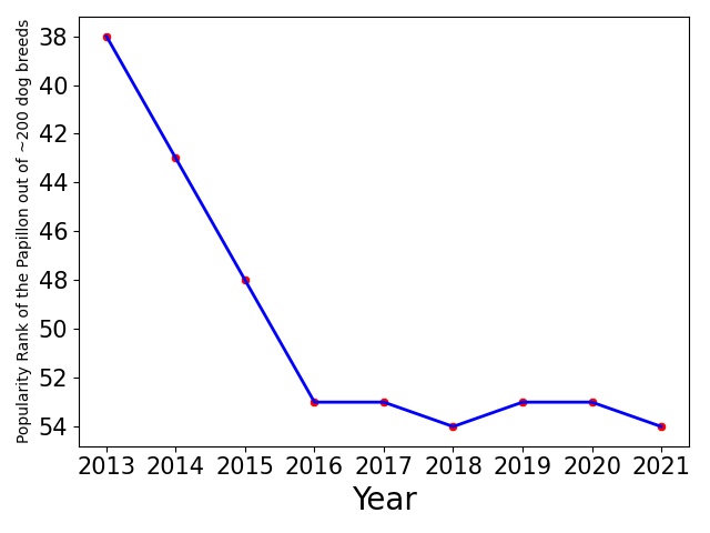 Popularity of Papillon