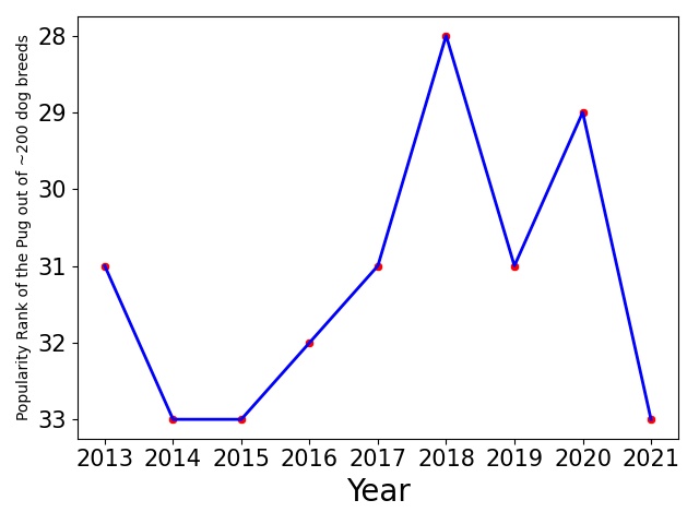 Popularity of Pug