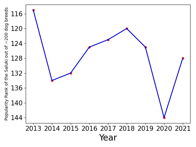 Popularity of Saluki