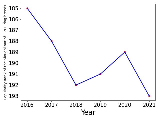 Popularity of Sloughi