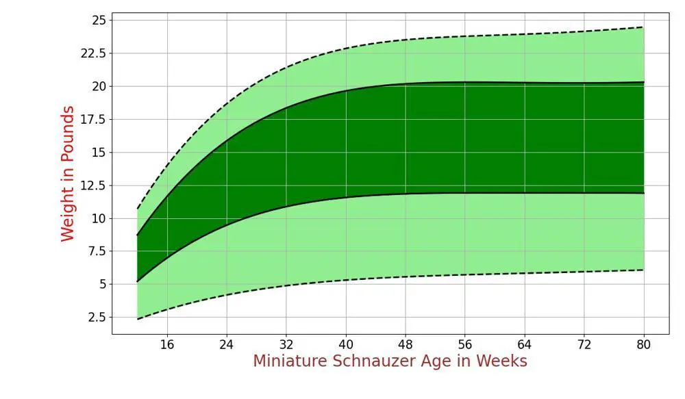 How Much Should Miniature Schnauzer Weigh? Miniature Schnauzer Weight ...