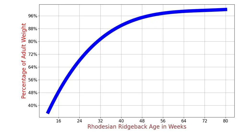 How Much Should Rhodesian Ridgeback Weigh? Rhodesian Ridgeback Weight ...