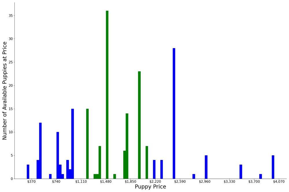 A breakdown of the prices of Saint Berdoodles